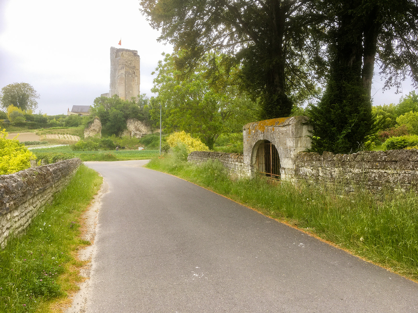 Scorbe De Thuré au château de Scorbé-Clairvaux - à vélo Châtellerault
